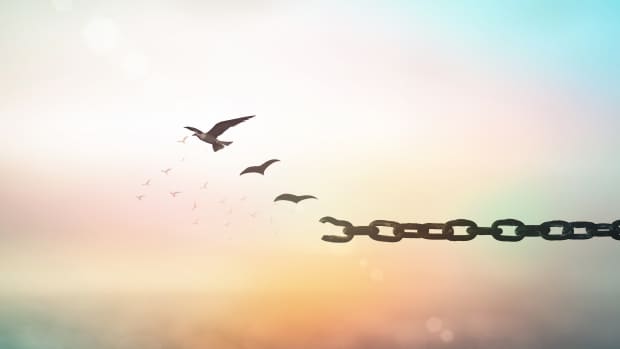 New life concept: Bird flying and broken chains over blurred nature sunrise background